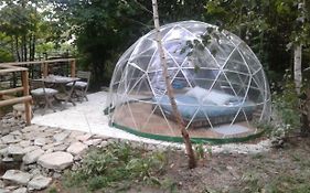bulle sous les etoiles